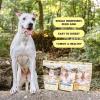 imageSuperfood Bite FreezeDried Raw Dog Treats  Protein Rich Train ampamp Reward Traceable Single Ingredient by Katherine Heigl Wild SalmonBeef Liver