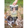 imageSuperfood Bite FreezeDried Raw Dog Treats  Protein Rich Train ampamp Reward Traceable Single Ingredient by Katherine Heigl Wild SalmonBeef Liver