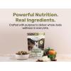 imageSuperfood Nuggets Premium FreezeDried raw Dog Food Topper or Treat Powerful NutrientDense Ingredients No Artificial additives Beef Tripe and Kale Formula 8oz  4pk BundleBeef Tripe  Kale