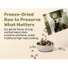 imageSuperfood Nuggets Premium FreezeDried raw Dog Food Topper or Treat Powerful NutrientDense Ingredients No Artificial additives Beef Tripe and Kale Formula 8oz  4pk BundleBeef Tripe  Kale