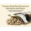 imageSuperfood Nuggets Premium FreezeDried raw Dog Food Topper or Treat Powerful NutrientDense Ingredients No Artificial additives Beef Tripe and Kale Formula 8oz  4pk BundleBeef Tripe  Kale